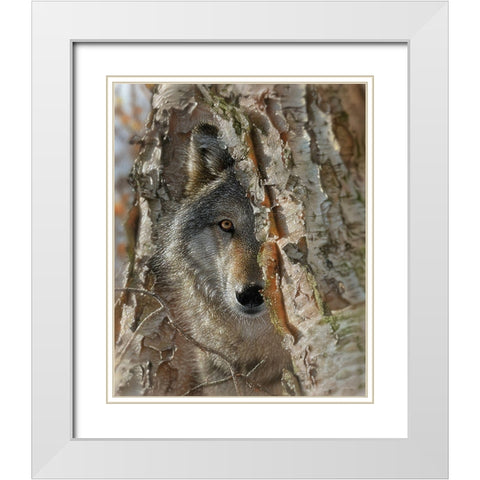 Close Encounter White Modern Wood Framed Art Print with Double Matting by Bogle, Collin