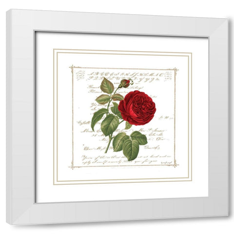 Floral V White Modern Wood Framed Art Print with Double Matting by Pugh, Jennifer