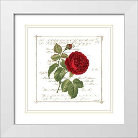 Floral V White Modern Wood Framed Art Print with Double Matting by Pugh, Jennifer