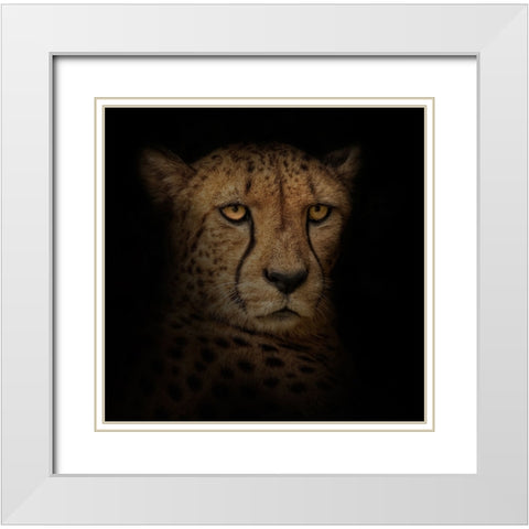 Out of the Shadows White Modern Wood Framed Art Print with Double Matting by Parker, Kelley