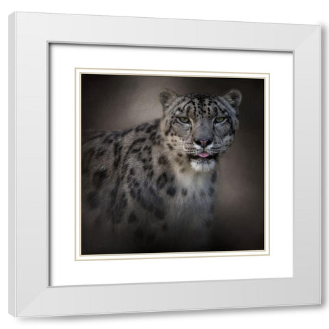 Himalayan Queen White Modern Wood Framed Art Print with Double Matting by Parker, Kelley