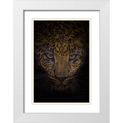 No Fear White Modern Wood Framed Art Print with Double Matting by Parker, Kelley