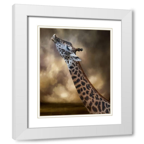 Stretch White Modern Wood Framed Art Print with Double Matting by Parker, Kelley