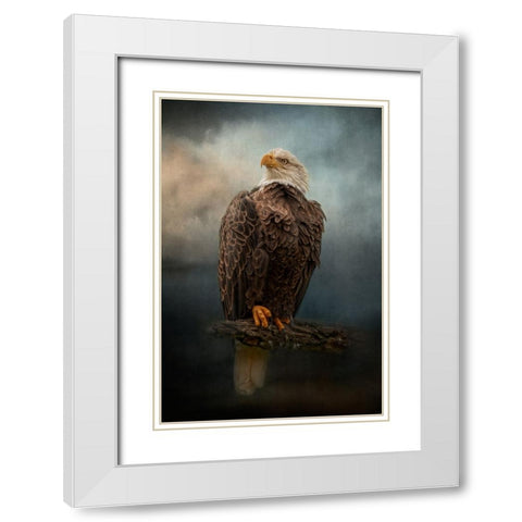 Master of the Sky White Modern Wood Framed Art Print with Double Matting by Parker, Kelley