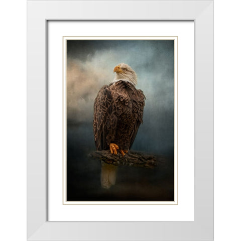 Master of the Sky White Modern Wood Framed Art Print with Double Matting by Parker, Kelley
