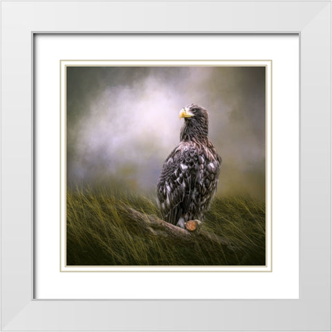 On Watch White Modern Wood Framed Art Print with Double Matting by Parker, Kelley