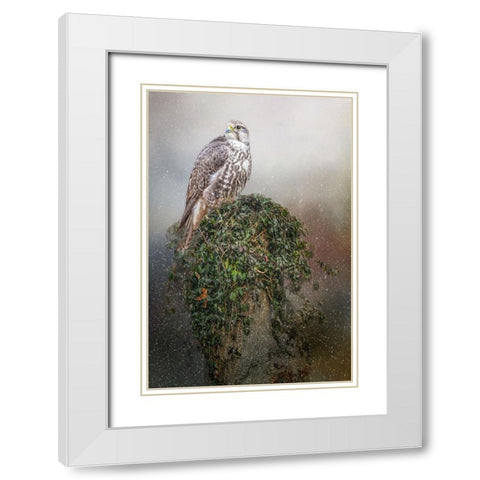 Snowfall White Modern Wood Framed Art Print with Double Matting by Parker, Kelley