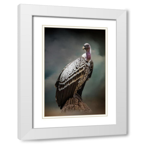 Looking for Dinner White Modern Wood Framed Art Print with Double Matting by Parker, Kelley