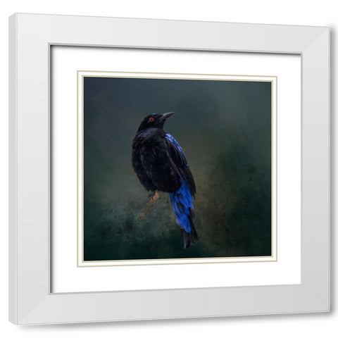 Taking the Red Eye White Modern Wood Framed Art Print with Double Matting by Parker, Kelley