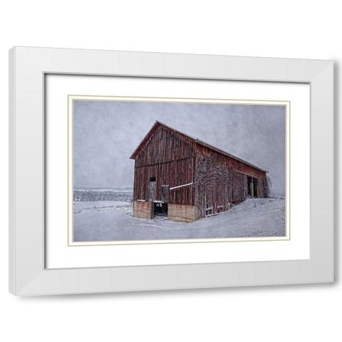 Rustic Red White Modern Wood Framed Art Print with Double Matting by Parker, Kelley
