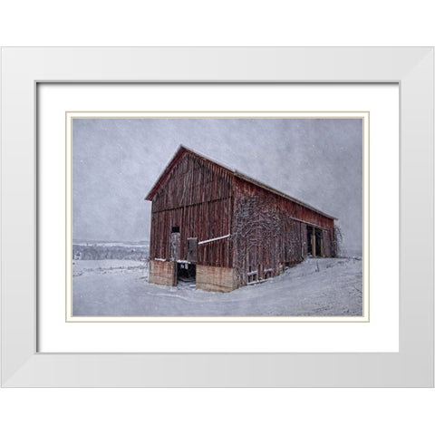 Rustic Red White Modern Wood Framed Art Print with Double Matting by Parker, Kelley