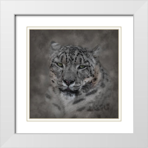 Cold Stare White Modern Wood Framed Art Print with Double Matting by Parker, Kelley
