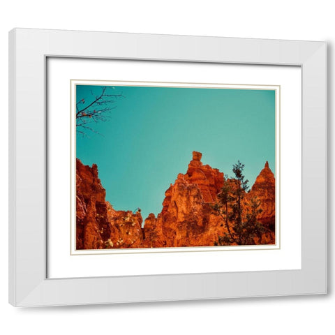 Natures Beauty White Modern Wood Framed Art Print with Double Matting by Singleton, Ashley