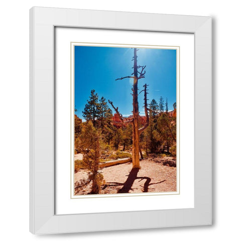 Timeless Treasures White Modern Wood Framed Art Print with Double Matting by Singleton, Ashley