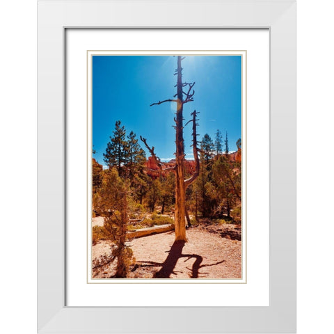 Timeless Treasures White Modern Wood Framed Art Print with Double Matting by Singleton, Ashley