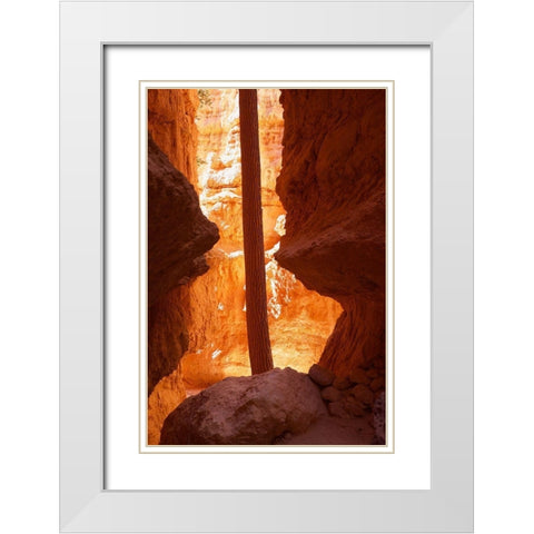 Determined White Modern Wood Framed Art Print with Double Matting by Singleton, Ashley