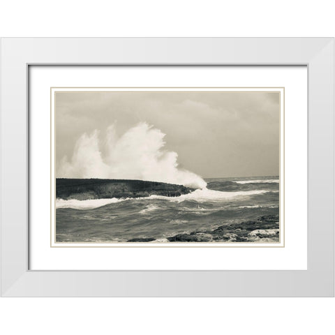 Splash Zone II White Modern Wood Framed Art Print with Double Matting by Singleton, Ashley