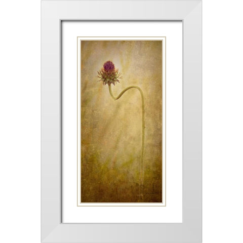 Thistle White Modern Wood Framed Art Print with Double Matting by Murdock, Ramona