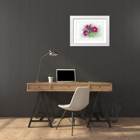 Bachelor Buttons I White Modern Wood Framed Art Print with Double Matting by Murdock, Ramona