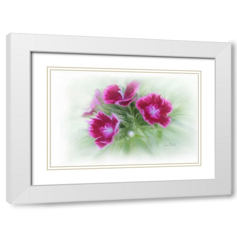 Bachelor Buttons I White Modern Wood Framed Art Print with Double Matting by Murdock, Ramona