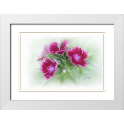 Bachelor Buttons I White Modern Wood Framed Art Print with Double Matting by Murdock, Ramona