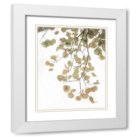 Aspen Leaves IV White Modern Wood Framed Art Print with Double Matting by Murdock, Ramona