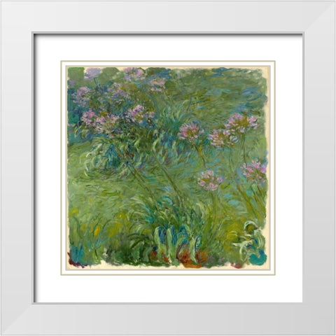 Agapanthe White Modern Wood Framed Art Print with Double Matting by Monet, Claude