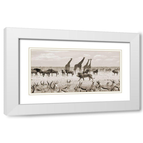 Sovereign passing by (Masai Mara-BW) White Modern Wood Framed Art Print with Double Matting by Pangea Images