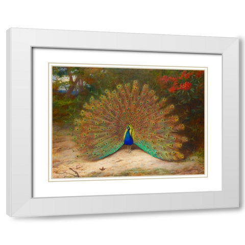 Peacock and Peacock Butterfly White Modern Wood Framed Art Print with Double Matting by Thorburn, Archibald