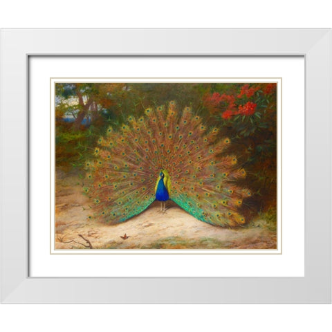 Peacock and Peacock Butterfly White Modern Wood Framed Art Print with Double Matting by Thorburn, Archibald