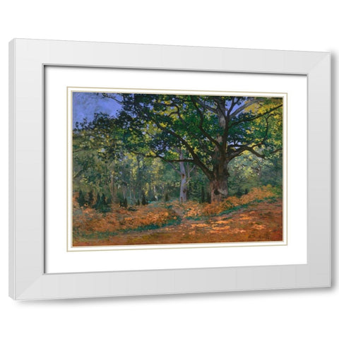 The Bodmer Oak Fontainebleau Forest White Modern Wood Framed Art Print with Double Matting by Monet, Claude