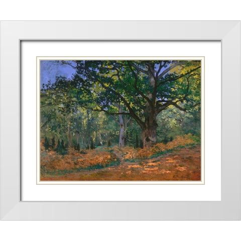 The Bodmer Oak Fontainebleau Forest White Modern Wood Framed Art Print with Double Matting by Monet, Claude