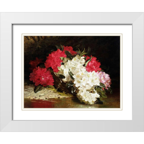 Azaleas White Modern Wood Framed Art Print with Double Matting by Fitz Marshall, John