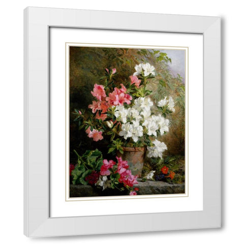 Still Life of Azaleas White Modern Wood Framed Art Print with Double Matting by Feray Mutrie, Annie