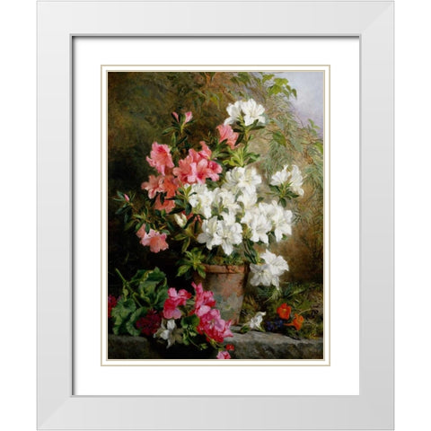 Still Life of Azaleas White Modern Wood Framed Art Print with Double Matting by Feray Mutrie, Annie