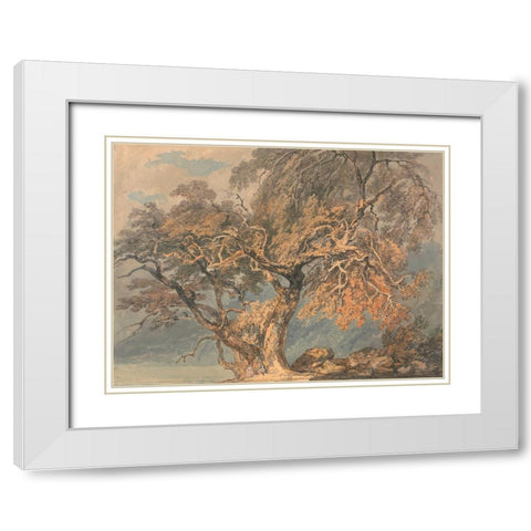 A Great Tree White Modern Wood Framed Art Print with Double Matting by Turner, William