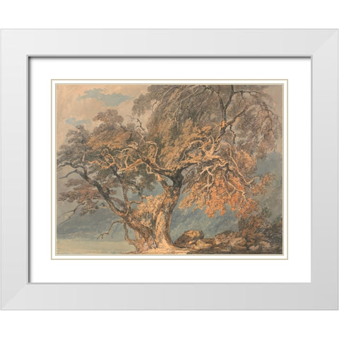 A Great Tree White Modern Wood Framed Art Print with Double Matting by Turner, William