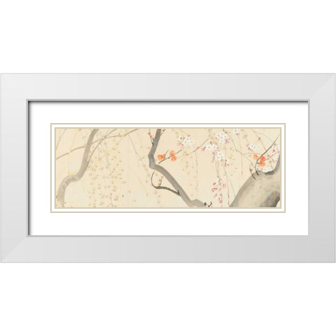 Flowers of the Four Seasons  White Modern Wood Framed Art Print with Double Matting by Anonymous