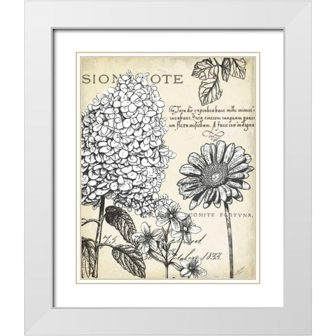 Pen and Ink Floral Study II White Modern Wood Framed Art Print with Double Matting by Cusson, Marie Elaine