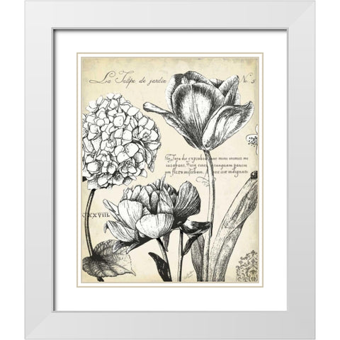 Pen and Ink Floral Study IV White Modern Wood Framed Art Print with Double Matting by Cusson, Marie Elaine
