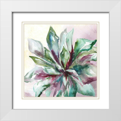 Succulent Watercolor II White Modern Wood Framed Art Print with Double Matting by Tre Sorelle Studios