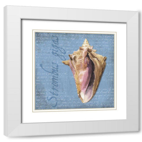 Oceanum Shells Blue I White Modern Wood Framed Art Print with Double Matting by Reed, Tara