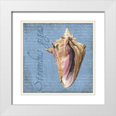 Oceanum Shells Blue I White Modern Wood Framed Art Print with Double Matting by Reed, Tara