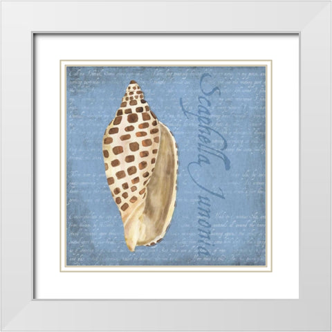 Oceanum Shells Blue II White Modern Wood Framed Art Print with Double Matting by Reed, Tara
