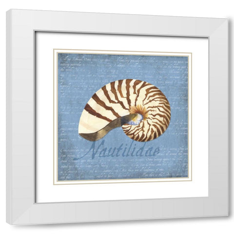 Oceanum Shells Blue III White Modern Wood Framed Art Print with Double Matting by Reed, Tara