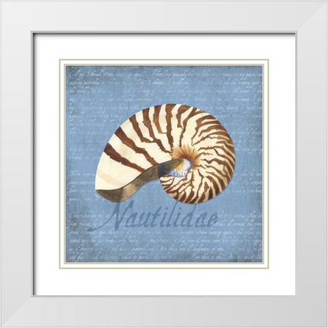 Oceanum Shells Blue III White Modern Wood Framed Art Print with Double Matting by Reed, Tara