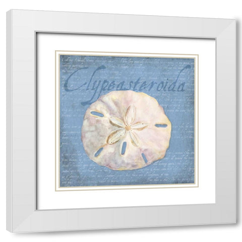 Oceanum Shells Blue IV White Modern Wood Framed Art Print with Double Matting by Reed, Tara