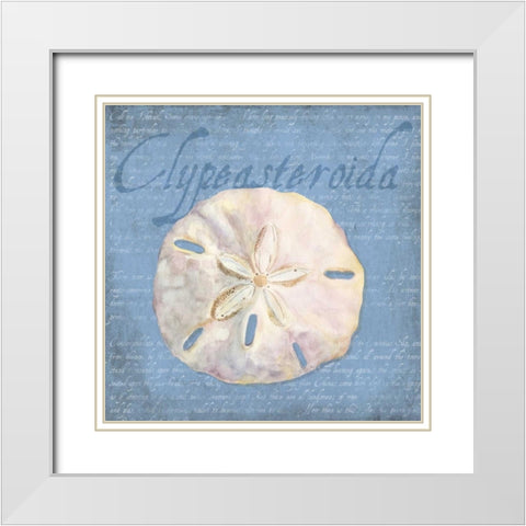 Oceanum Shells Blue IV White Modern Wood Framed Art Print with Double Matting by Reed, Tara