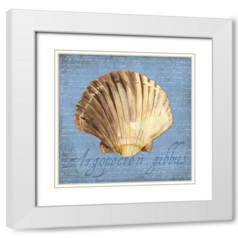 Oceanum Shells Blue V White Modern Wood Framed Art Print with Double Matting by Reed, Tara