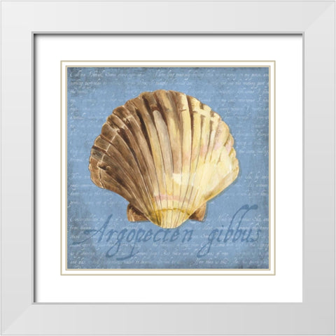 Oceanum Shells Blue V White Modern Wood Framed Art Print with Double Matting by Reed, Tara